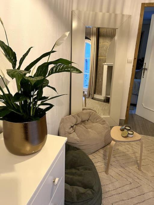 Superbe Duplex En Hyper Centre Apartment Сент Етиен Екстериор снимка