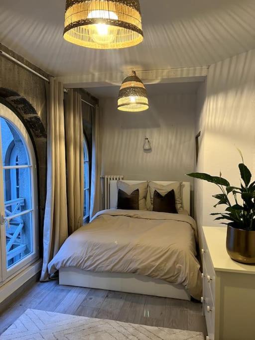 Superbe Duplex En Hyper Centre Apartment Сент Етиен Екстериор снимка